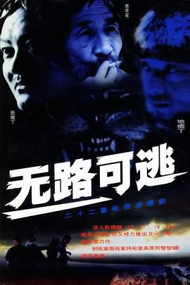 无路可逃2004 第13集