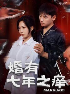 婚有七年之痒 第13集